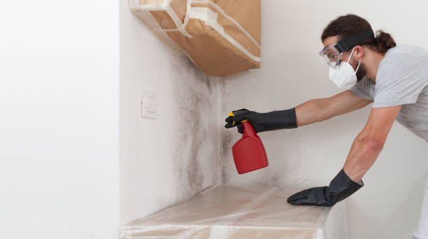 Professional Crawl Space Mold Remediation technician working in Livingston, TX
