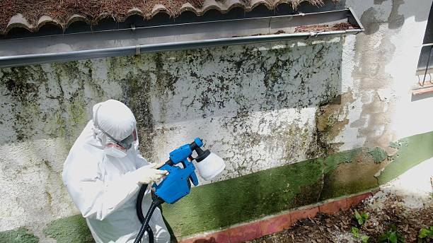 Top rated local Crawl Space Mold Remediation specialists in Livingston, TX